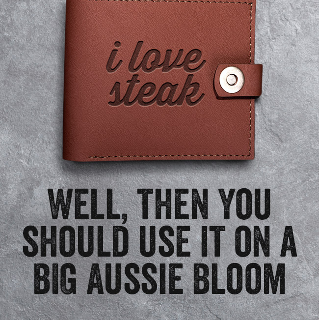 You should use it on a BIG Aussie Bloom!