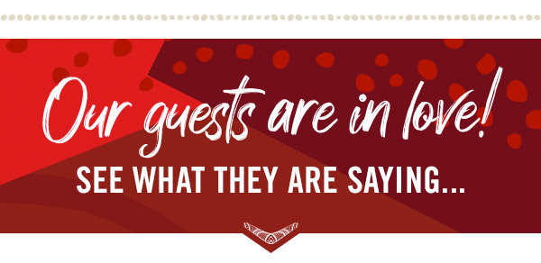 Our guests are in love! See what they are saying...