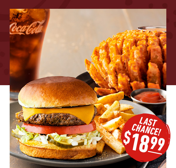 Last chance! $18.99